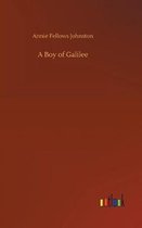 Omslag A Boy of Galilee