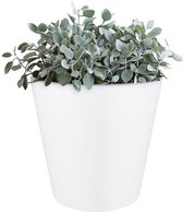 Elho Pure Straight Round 50 - Bloempot - Wit - Binnen & Buiten  - Ø 50 x H 51 cm