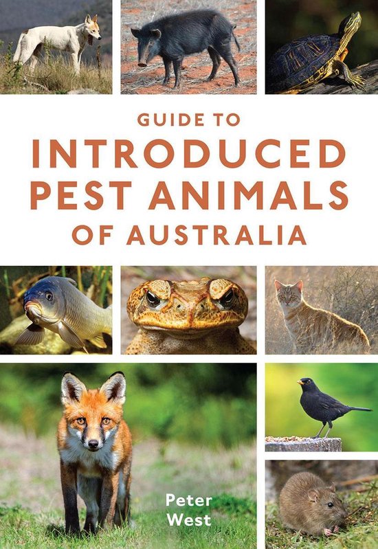 Guide to Introduced Pest Animals of Australia - cover