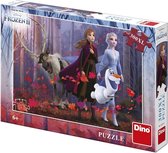 Disney Frozen 2 - Puzzel 300 stukjes van Dino