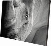 Neushoorn close-up | 150 x 100 CM | Wanddecoratie | Dieren op canvas | Schilderij | Canvasdoek | Schilderij op canvas