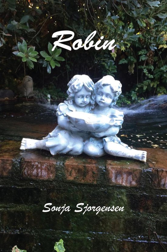 Robin - cover