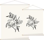 Torilis zwart-wit (Hedge Parsley) - Foto op Textielposter - 60 x 80 cm