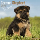 Duitse Herder Kalender Puppies 2021