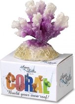Auqa Della Coral module cauliflower coral Wit/paars S - 8,7x6,5x4,5CM