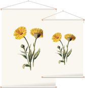 Goudsbloem 2 (Common Marigold White) - Foto op Textielposter - 120 x 180 cm