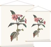 Silene (Campion) - Foto op Textielposter - 90 x 120 cm