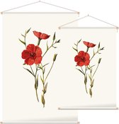 Linum Grandiflorum (Crimson Flax White) - Foto op Textielposter - 60 x 90 cm