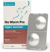 Exil No Worm Pro - Hond - 2 Tabletten