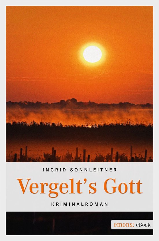 Vergelt's Gott (ebook), Ingrid Sonnleitner | 9783863586300 | Boeken ...