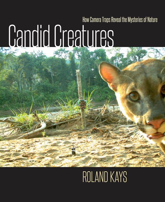 Candid Creatures - cover
