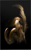 Gouden veren op zwarte achtergrond - Foto op Forex - 60 x 90 cm