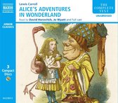 Cover van "Alice's Adventures in Wonderland" met Alice die met een flamingo praat met een grote vogel.