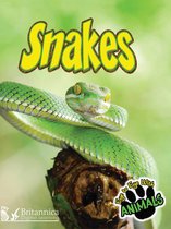 Eye to Eye with Animals - Snakes