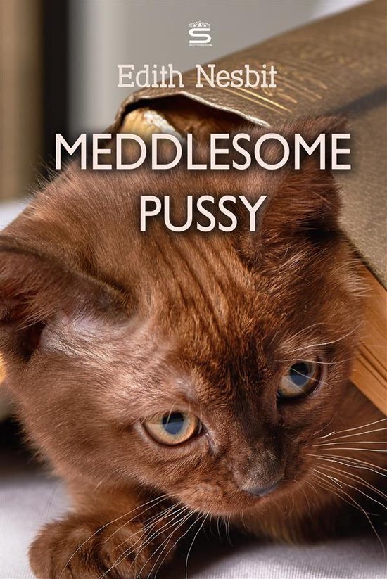 Pussy Tales Meddlesome Pussy Ebook Edith Nesbit