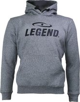 Hoodie Legend Fleece grijs  8-9 jaar