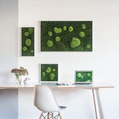 Stylegreen Verticale tuin - Forest & Pole moss - 35 x 35cm
