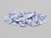 Schelpen - Wit Met Blauwe Mini Schelpen 1 Kg