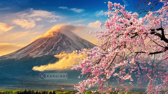 Schilderij - Vulkaan Fuji, Bloesem, Japan , Multikleur , 3 maten , Premium print