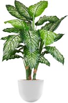 HTT - Kunstplant Dieffenbachia in Eggy wit H115 cm