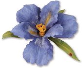 Sizzix Thinlits Die Set Flower - Bearded Iris 10PK 659256 S.Tierney-Cockburn