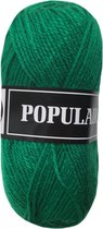 Beijer BV Populair acryl garen - kerst groen (95) - 5 bollen