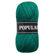 Beijer BV Populair acryl garen - aqua groen (90) - 20 bollen