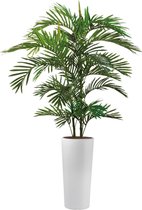 HTT - Kunstplant Areca palm in Clou rond wit H185 cm