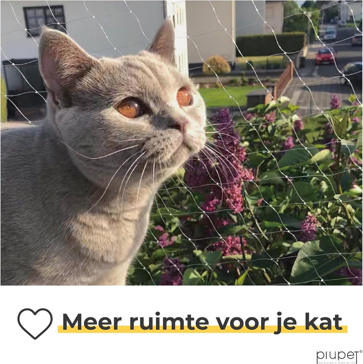 FinoPet Kattennet voor balkon, 8 x 3 meter, transparant, met kattenborstel, inclusief bevestigingsmateriaal, kattenbeschermingsnet, kattenrooster, veiligheidsnet, balkonnet voor katten