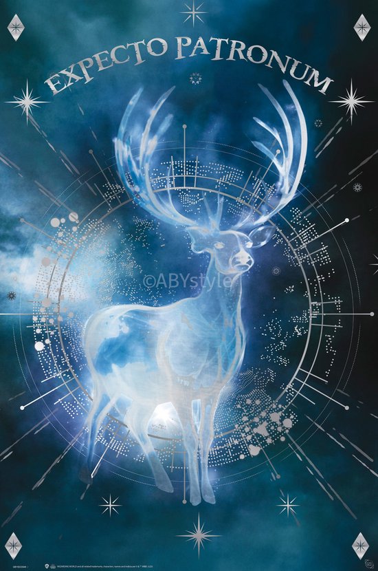 Plaque Expecto Patronum Patronus - Harry Potter