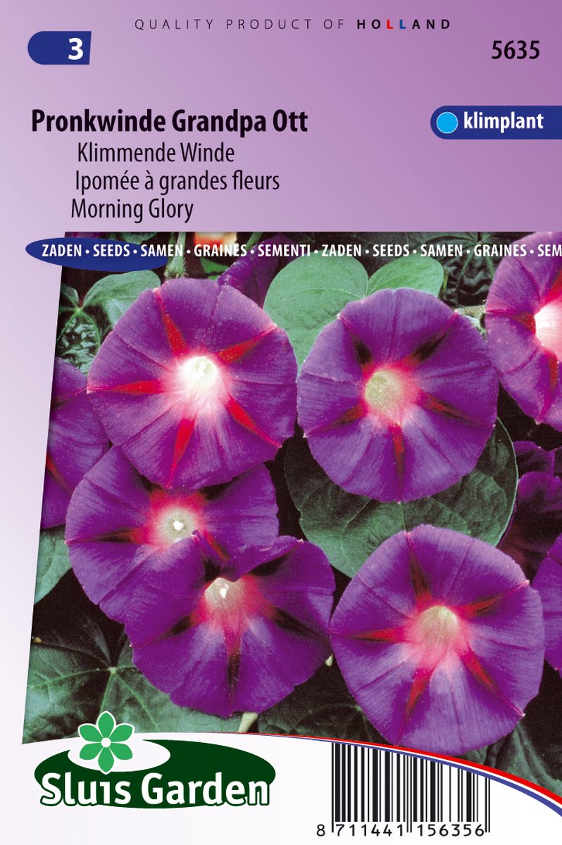 Sluis Garden - Pronkwinde Grandpa Ott (Ipomoea)
