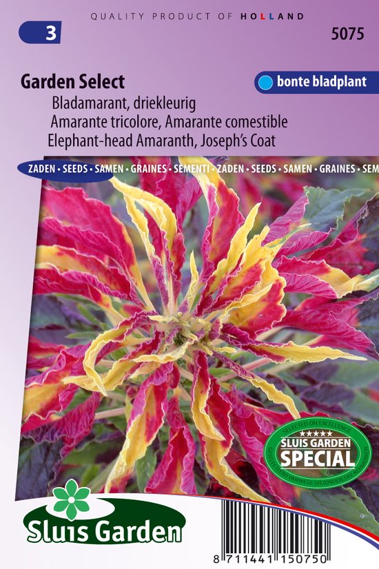 Oosterse amarant (Amaranthus gangeticus) - Bladamarant Garden Select - Snijbloemen - bloeit in Juli / Augustus / September