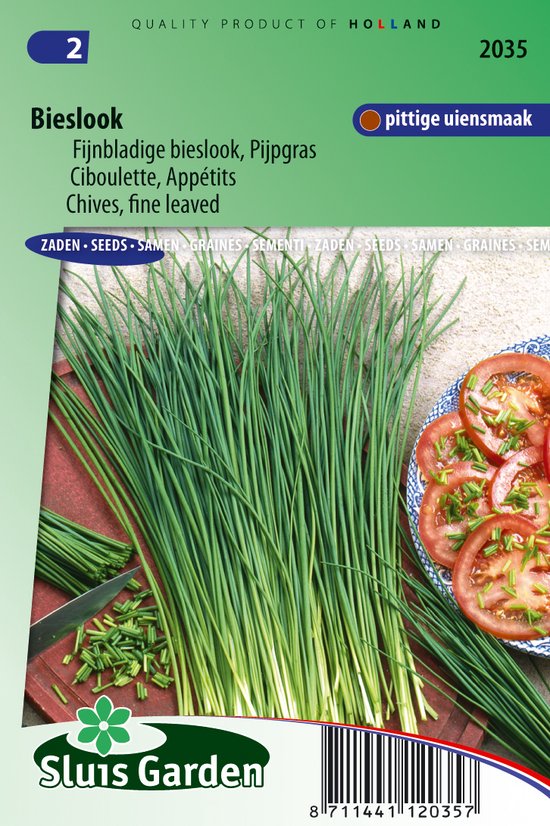 Sluis Garden - Bieslook Fijne (Allium schoenoprasum)
