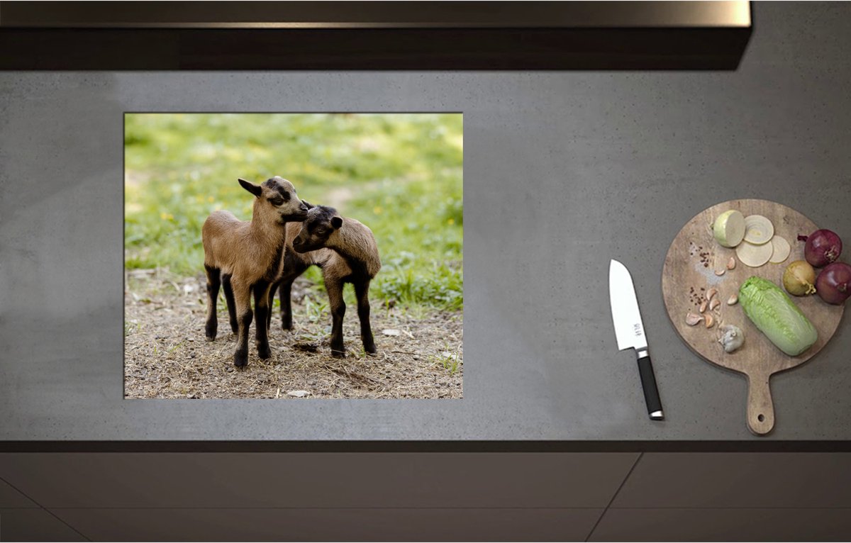 Inductieplaat Beschermer - Bruin met Zwarte Kussende Lammetjes - 60x51 cm - 2 mm Dik - Inductie Beschermer - Bescherming Inductiekookplaat - Kookplaat Beschermer van Wit Vinyl