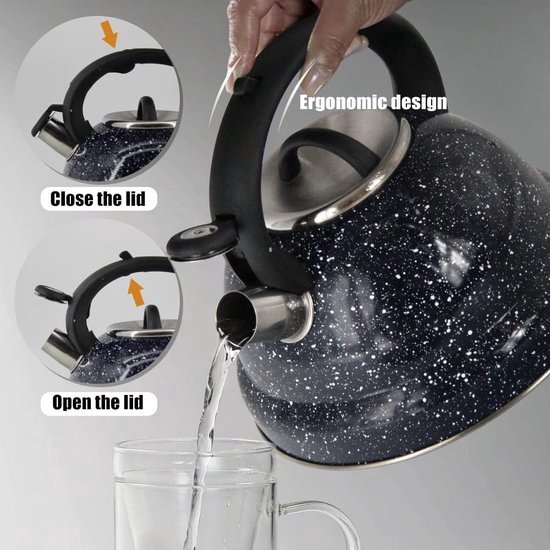 Bouilloire Inox 3L Sifflante Induction - Design Rétro Tous Feux Avec Poignée Chaleur