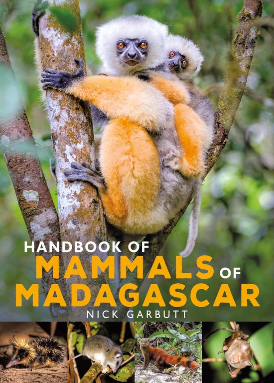 Handbook of Mammals of Madagascar - cover