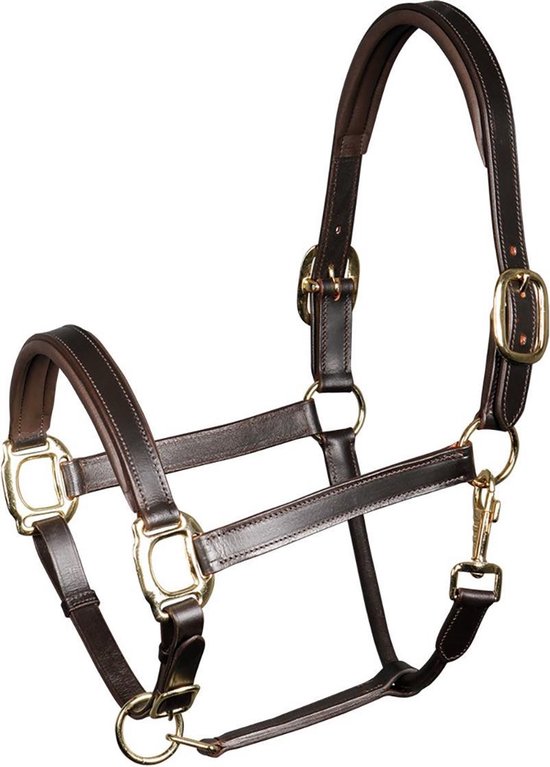 Harry's Horse Halster Harry's Horse Padded Leer Bruin