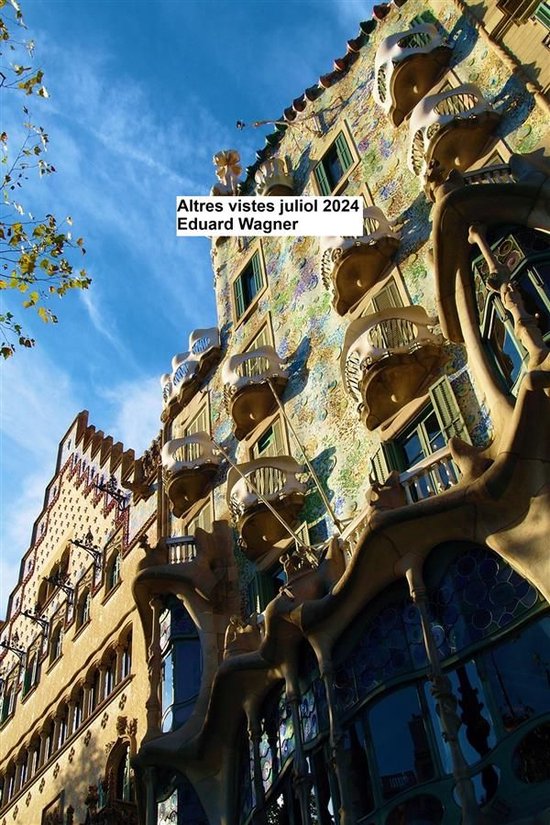 Altres visualitzacions juliol de 2024 - cover