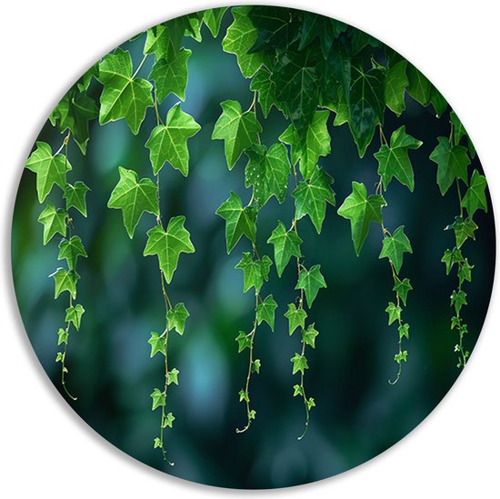 Bladeren rond schilderij - Natuur muurdecoratie rond - Schilderij rond licht - Muurdecoratie landelijk - Schilderij forex - Woonaccessoires muurcirkel forex 100x100 cm
