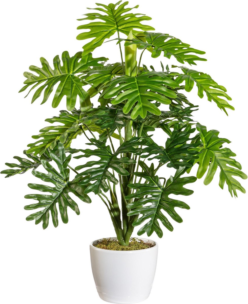 Kopu kunstplant Monstera 50cm in Sierpot wit - 22 bladeren Groen