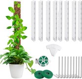 mumisuto Monstera klimhulp, 61 cm, plantensteunen van kunststof, plantensteunen in D-vorm met spijkers en kabelbinders, voor klimplanten, binnen en buiten, monstera's en mossen, 6 stuks