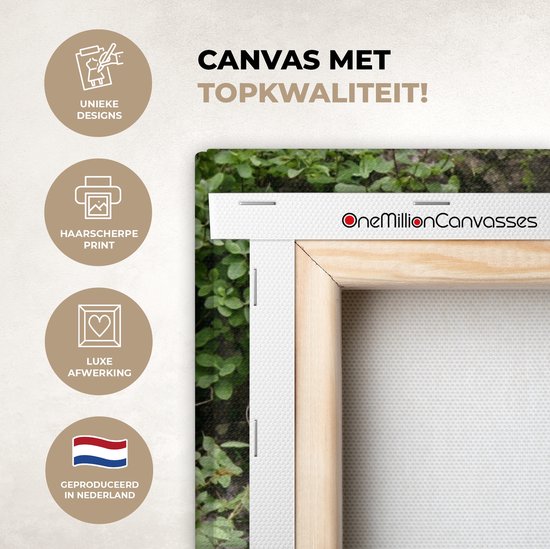 Tableau sur toile Vogel - Vue à travers - Rouge-gorge - 150x100 cm - Décoration murale