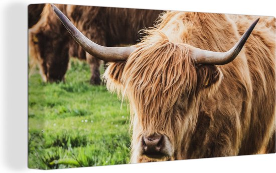 Décoration murale - Vache - Highlander - Animaux - Peinture sur Toile - 160x80 cm