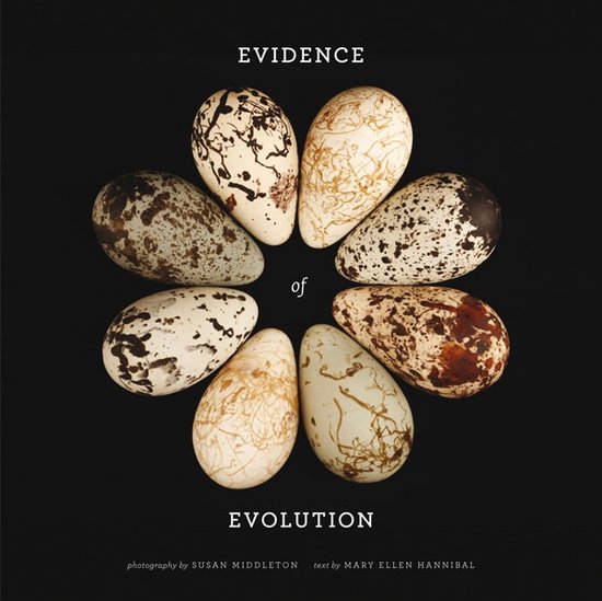 Evidence Of Evolution - cover