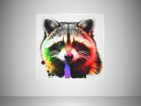 Rainbow tinted raccoon | Rainbow-Tinted Raccoon | Kunst - 20x20 centimeter op Dibond | Foto op Dibond