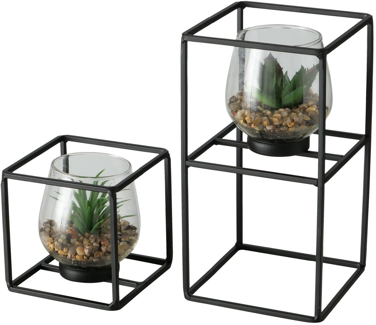 Plant in glas/houder set a 2stuks