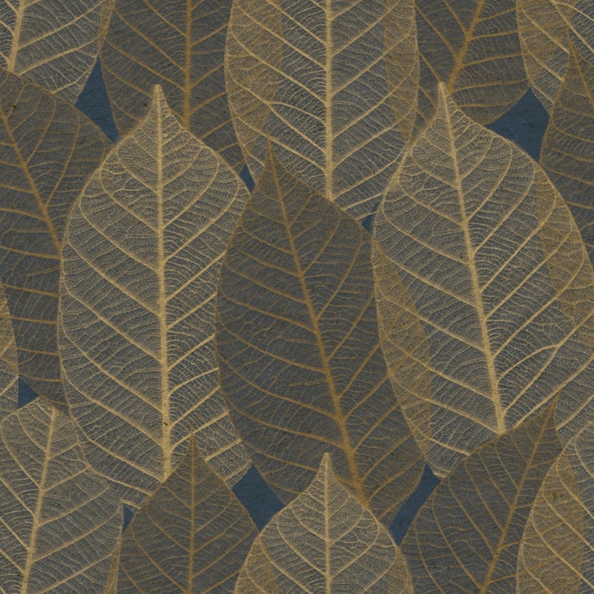 Herbarium - Vliesbehang - Bladeren - Natuur - Bruin / Blauw - 10,05 x 0,53 M.
