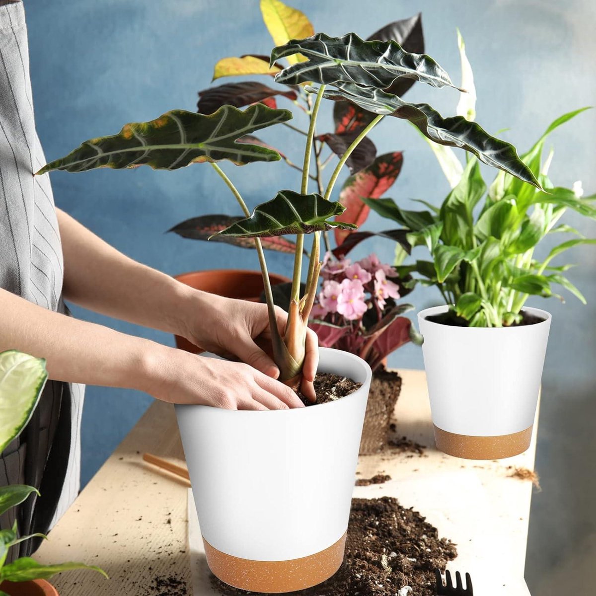 planter Indoor bloem plant potten moderne decoratieve tuinieren pot met drainage gat for alle huis planten bloemen kruiden Afrikaanse viooltjes aloë en andere Bloem plant potten
