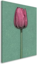 Tulip schilderijen - Flower schilderij - Schilderij op canvas Achtergrond - Klassiek schilderijen - Canvas schilderij - Decoratie muur canvas 40x60 cm