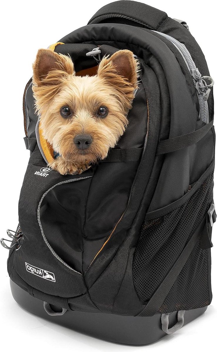 G-Train K9 Pack Draagrugzak voor kleine honden en katten - ideaal voor wandelen of reizen - waterdichte bodem - zwart